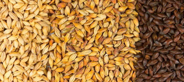 Bebidas de Malta - Pony Malta y Maltín Polar